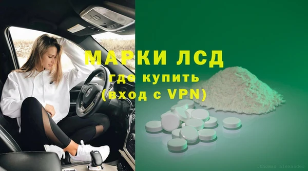 прущие грибы Алексин