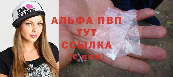 тгк Абаза
