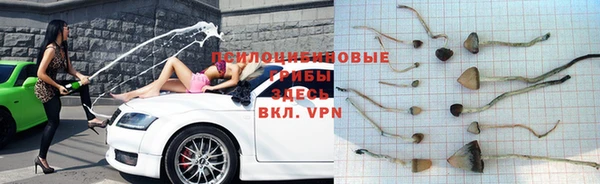 a pvp Алзамай