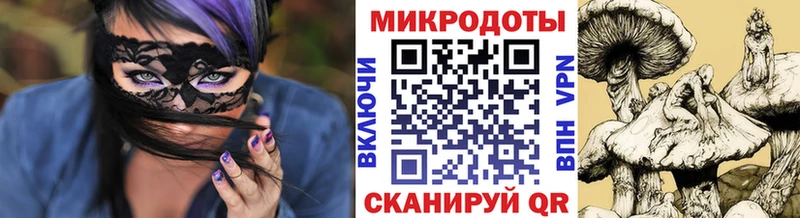 Галлюциногенные грибы мухоморы  Ковров 