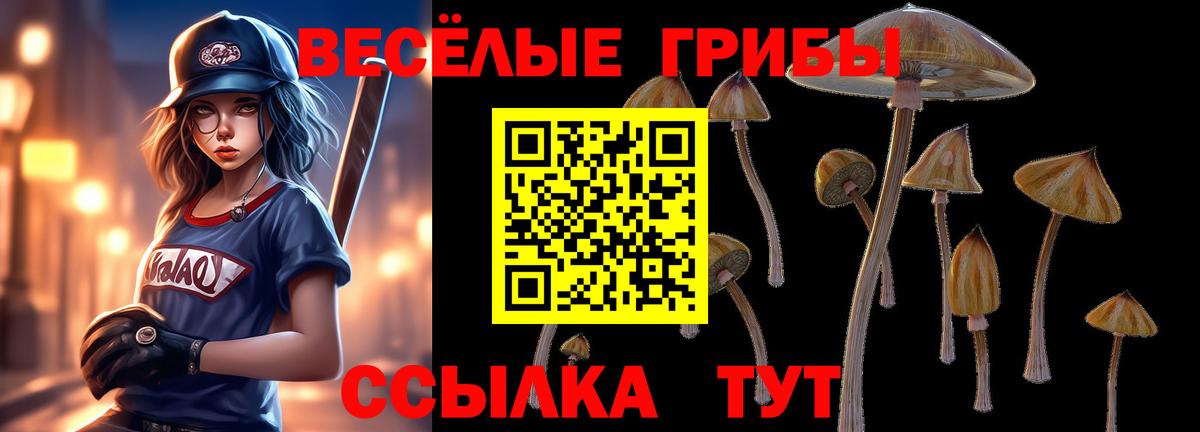 Псилоцибиновые грибы Cubensis  Вход с VPN  Ковров 